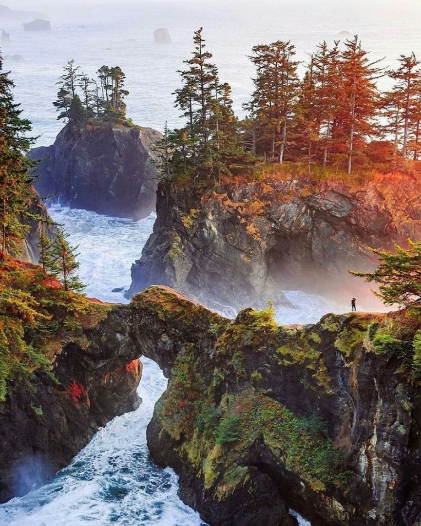 Wonderful World в LOOKY — Орегон, США #мир #эстетика #LOOKY_контент #recomended #fyp #