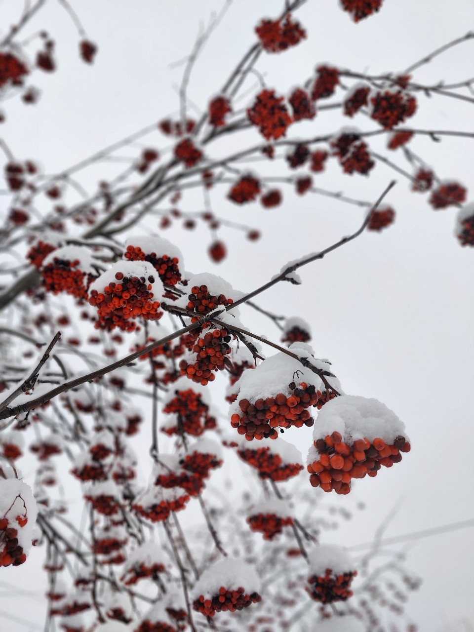 Виктор в LOOKY — фото 2