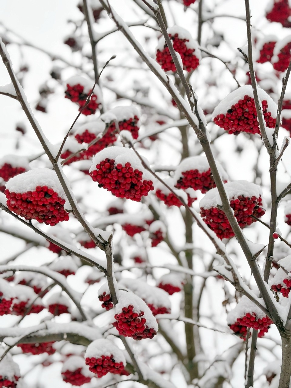 Виктор in LOOKY. #зима
#карелия,#karelia,#karjala,#живувкарелии,#природа,#природакарелии,#looky_official,#LOOKY_контент,#looky_you,#you,#looky_топ. ❄️Карелия❤️Karjala❄️...