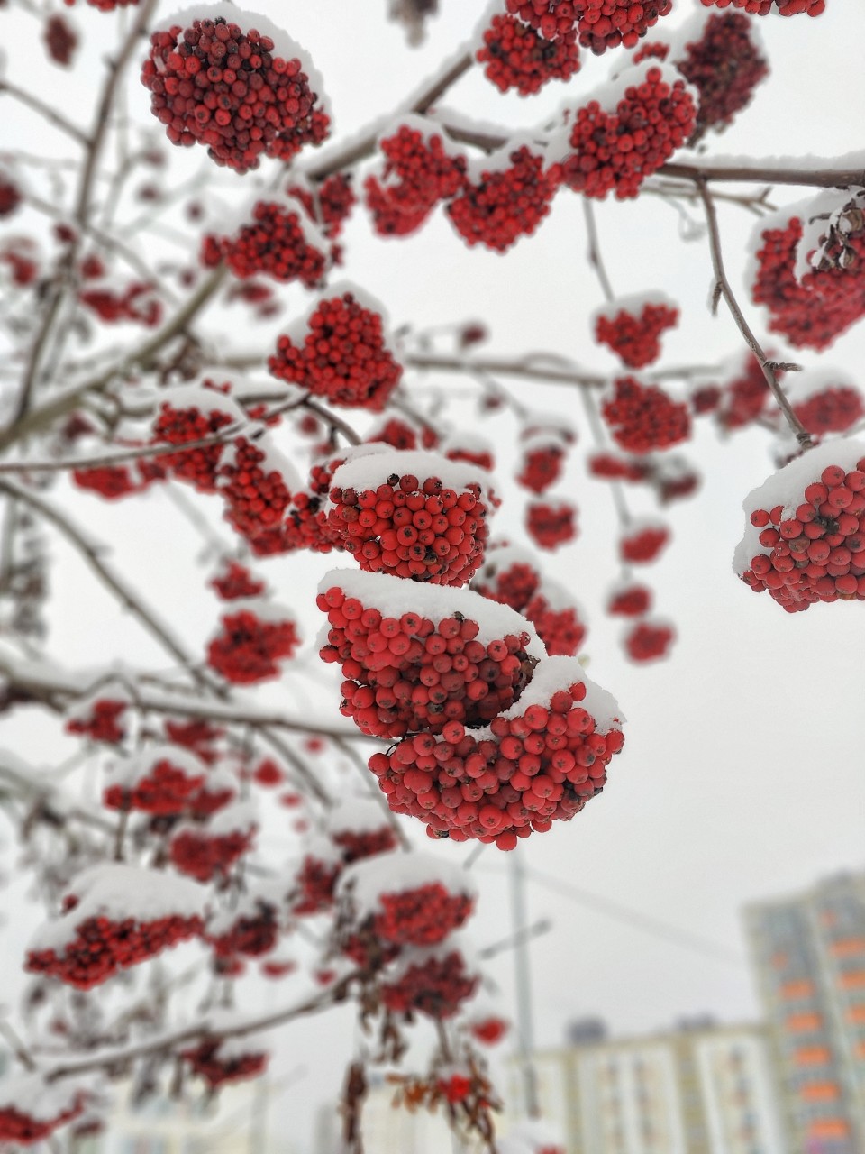 Виктор в LOOKY — фото 4