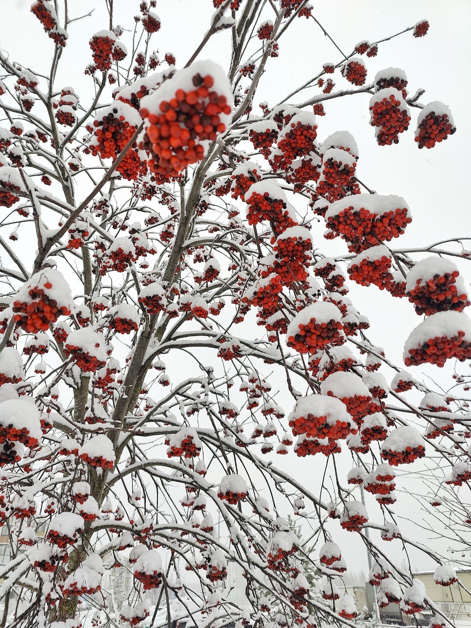 Виктор в LOOKY — фото 3