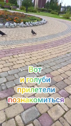 Looky_1690939111342 в LOOKY. . 