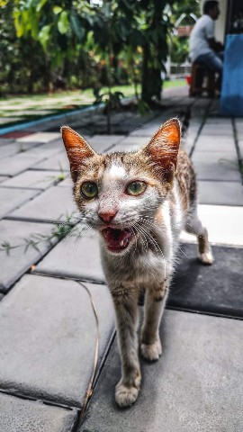 Looky_1685735997239 в LOOKY. . [#bira](bira) 