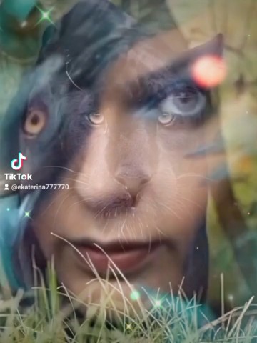 meekni1980 в LOOKY. . 