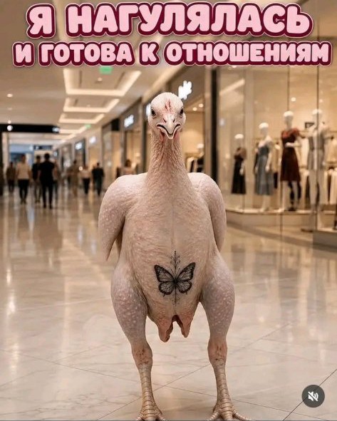  в LOOKY — #юмор