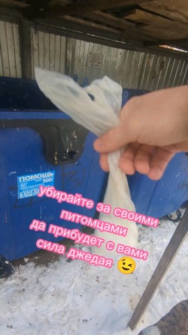 Жизнь Арчи в LOOKY. #Арчи. А вы убираете за сво...
