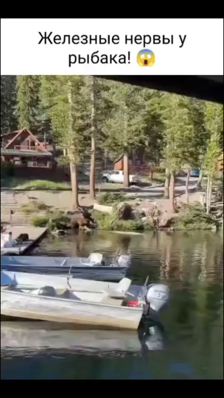 fishingday26 в LOOKY. . Рыбак с большими яйц...