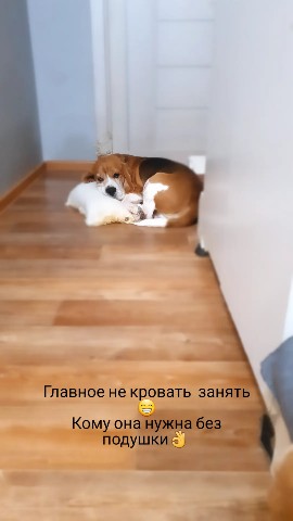 Ната Ли в LOOKY. . Кому она  нужна пуст...