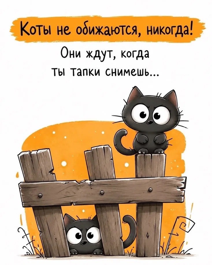  в LOOKY — публикация