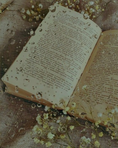 Looky_1698505873404 в LOOKY. #книги,#эстетика. #книги#эстетика#