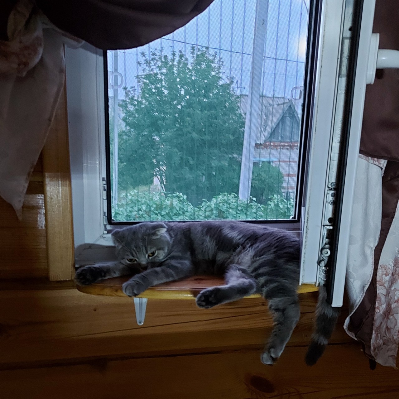 Мусиндра в LOOKY — фото 1
