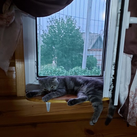 Мусиндра в LOOKY. . Вечерело...
Жарко......