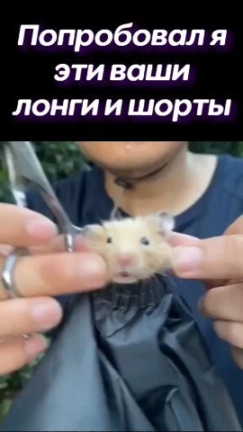 BTC_2TheMoon в LOOKY. #мем. Открывай хоть куда, ...
