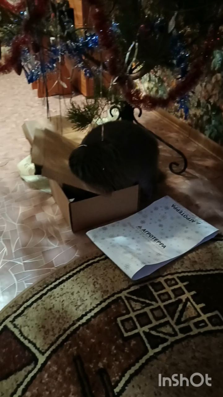 Ангел in LOOKY. . Подарочки под елочко...