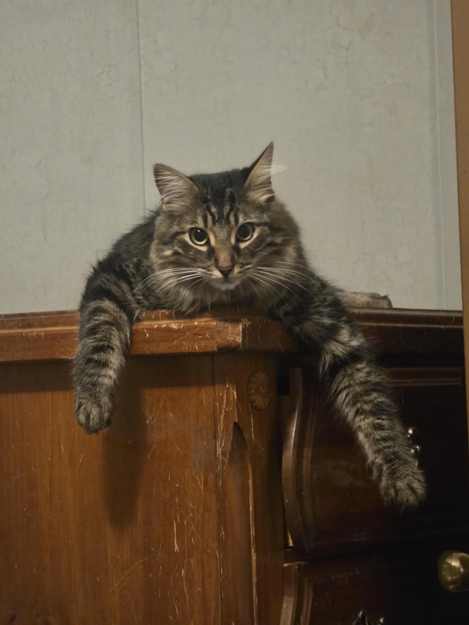 Космический Лис Алексей в LOOKY — фото 6