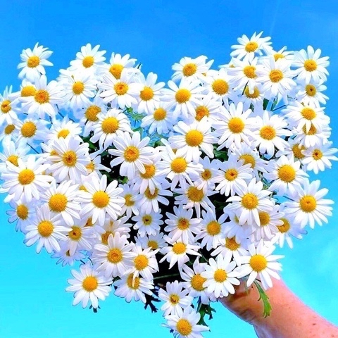 Looky_1674730650448 в LOOKY. . 