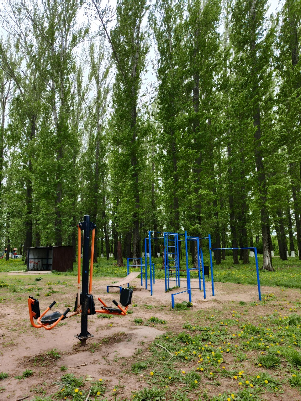 alexander_weliki в LOOKY — В парке утром—свежий воздух,
Турники стоят в ряд.
Спорт, дви