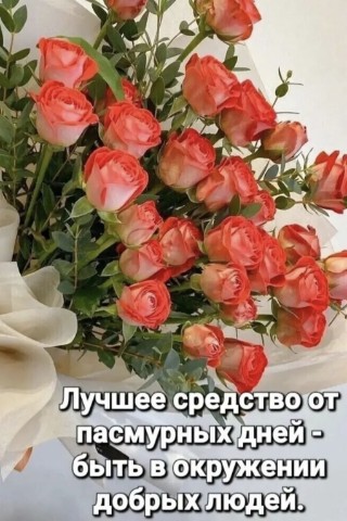Тамара в LOOKY. . Доброе утро, друзья❤...