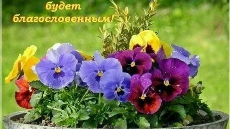 Marisabel в LOOKY. . Хорошего дня!