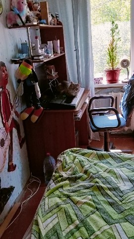 Тиль Элрин в LOOKY. . Лежать больше негде....