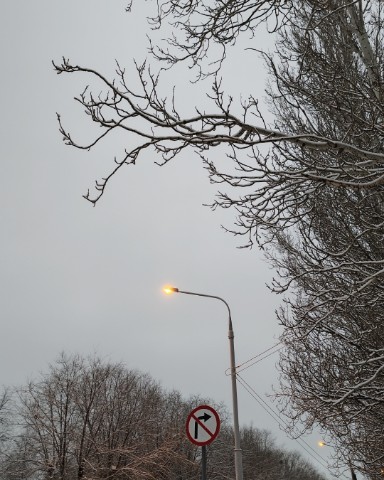 nature in LOOKY. . А вы знали?🤨
Что ка...