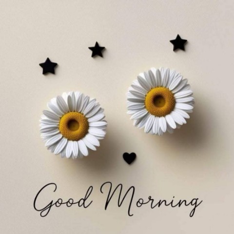 Looky_178173911480081 в LOOKY. . Good morning my fami...