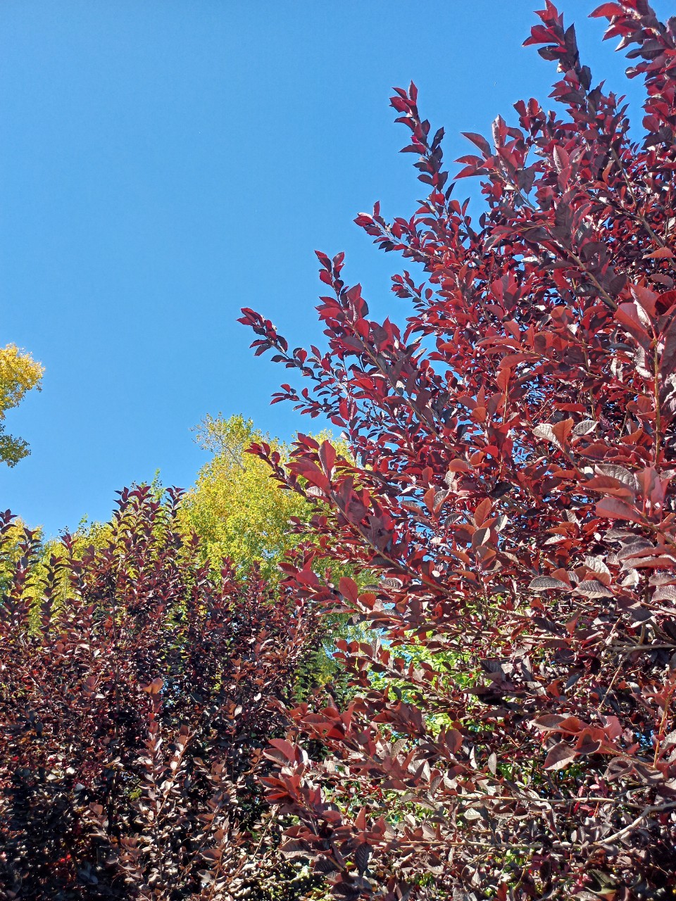 Katerina-priroda в LOOKY — фото 1