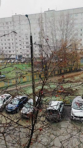 OlegFromStr в LOOKY — 4 года назад я взял свою кошку и уехал из Башкирии в Москву 