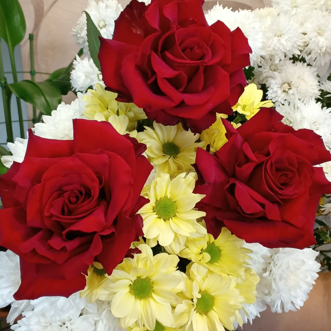 Элина Прилепкина в LOOKY — фото 5