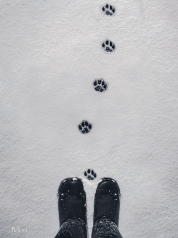 Алёна в LOOKY. #Кубань,#зима,#nature,#снег,#snow,#winter. Небольшая сказка:

"...