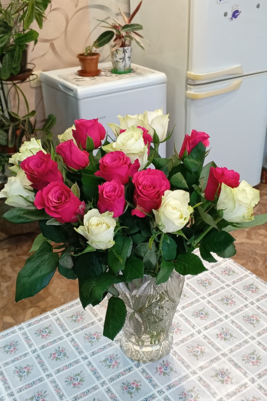 Элина Прилепкина в LOOKY — фото 3