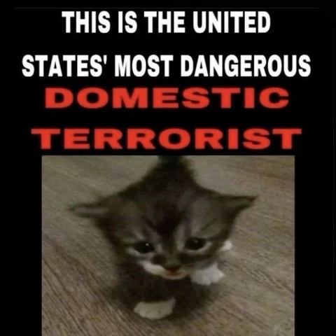stevennn23 в LOOKY. #fyp,#usa,#dankmemes,#real,#viral. Scary shit #fyp #usa...