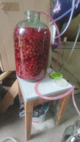 koretskiik в LOOKY. . 
