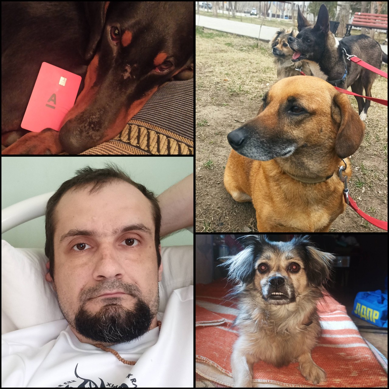 alexandr121186 в LOOKY — "Дорогие друзья! 

18 числа у нас заканчивается оплата перед