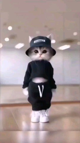 biznesmanimeiking в LOOKY. . https://t.me/+AJpT_m...