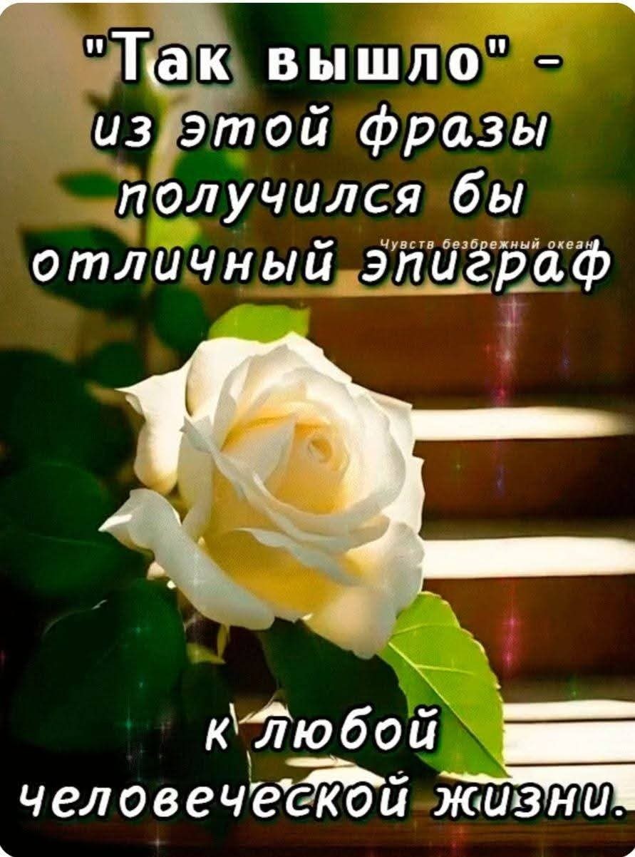 Looky_178594700391395