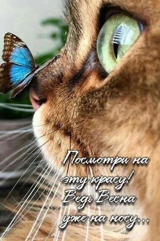 Looky_1698439775933 в LOOKY. . 
