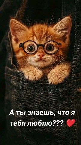 ВОЛК СЕРЫЙ в LOOKY — публикация