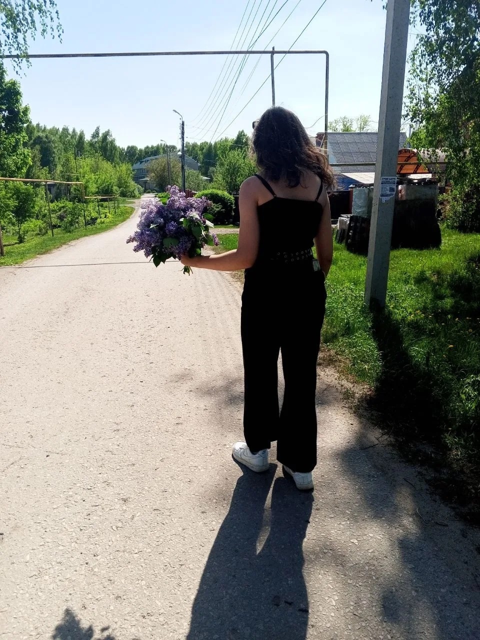 Солнечный Енот в LOOKY — публикация