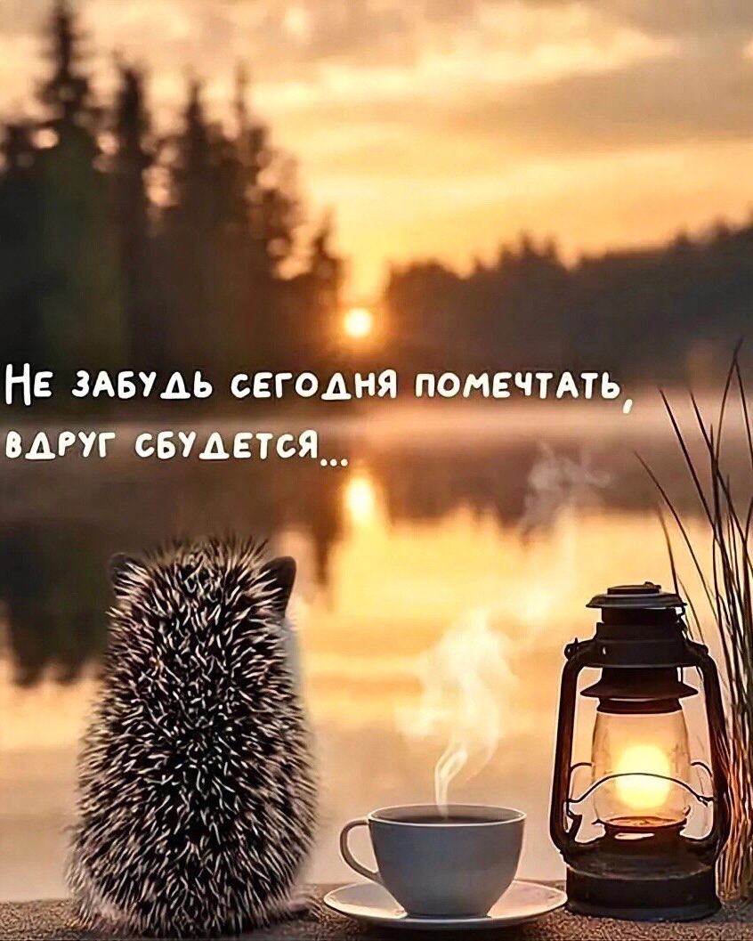 SunSun в LOOKY — публикация