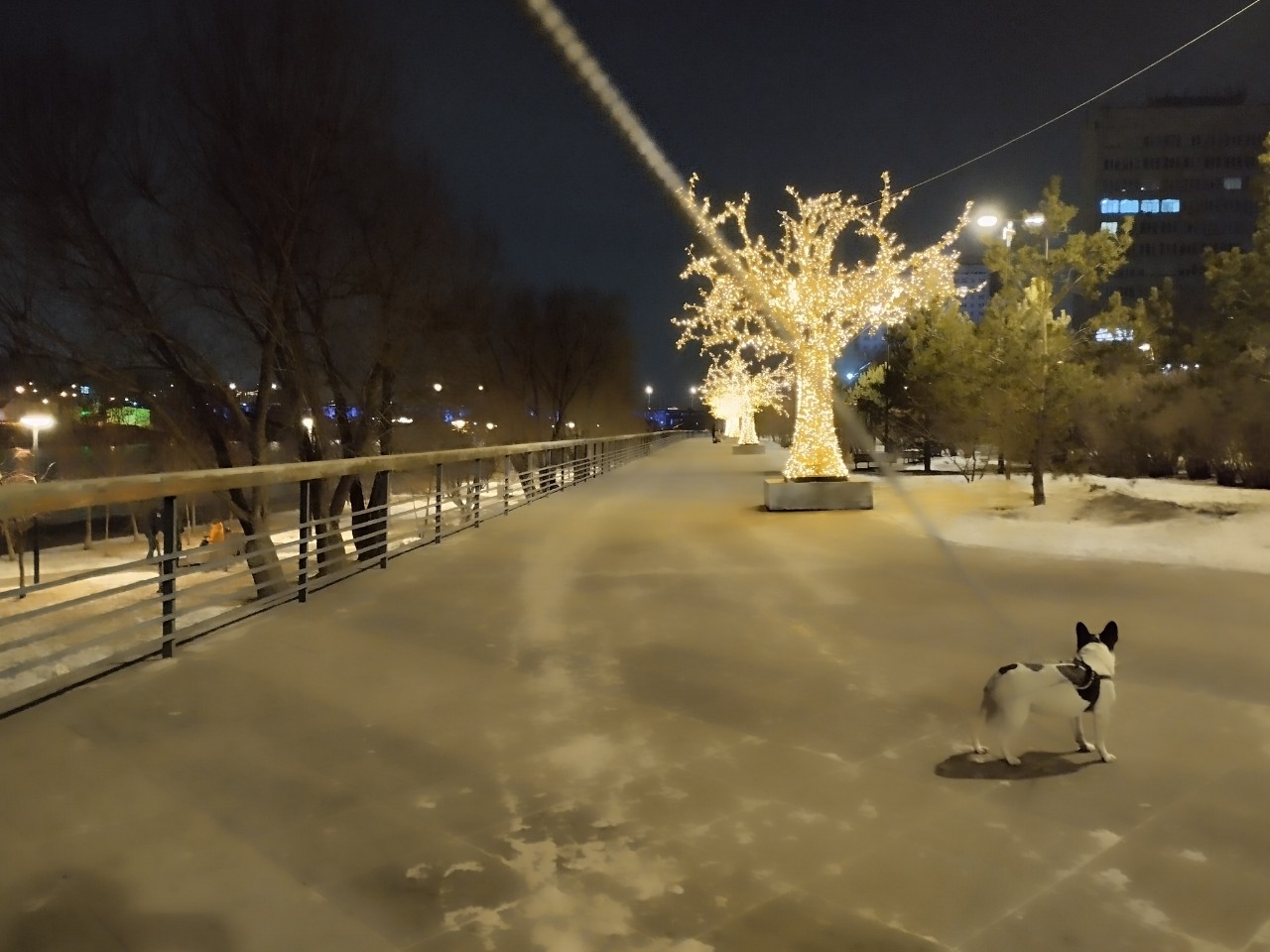 Looky_1698677930922 в LOOKY — публикация