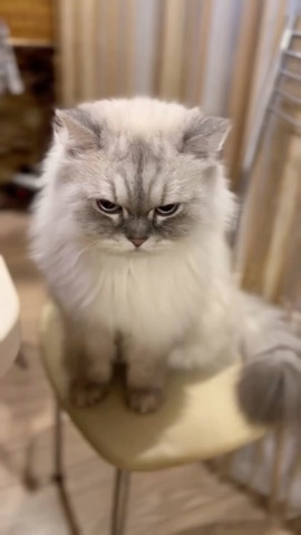 taik19.12.19 в LOOKY. . 😻😻😻