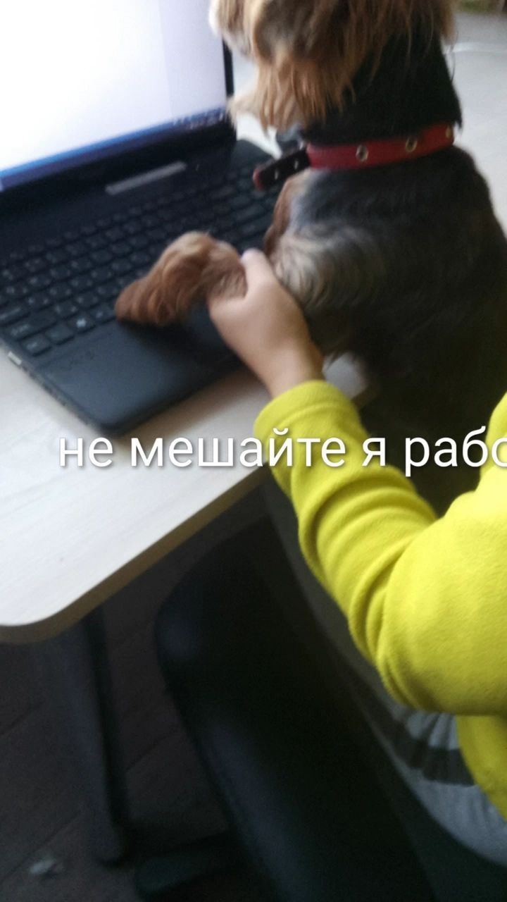 тёмный самурай в LOOKY — #! #LOOKY_нейронка