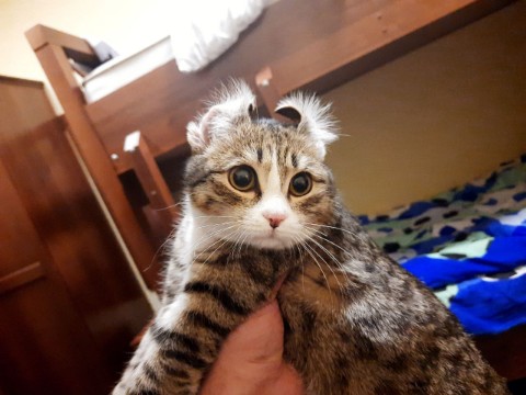 trunilin_chef в LOOKY. . Гля какая)