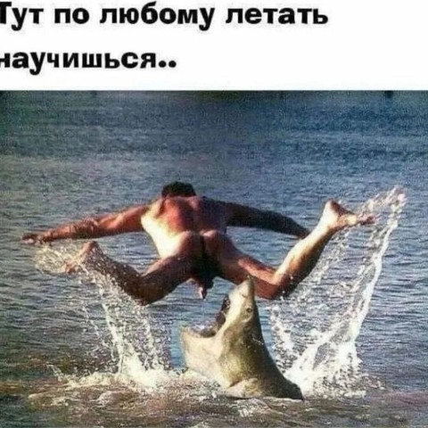 memy_2025sp в LOOKY. . 