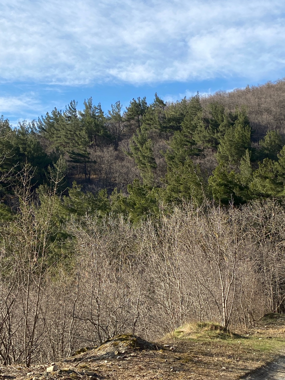 nina_melekhova в LOOKY — фото 7