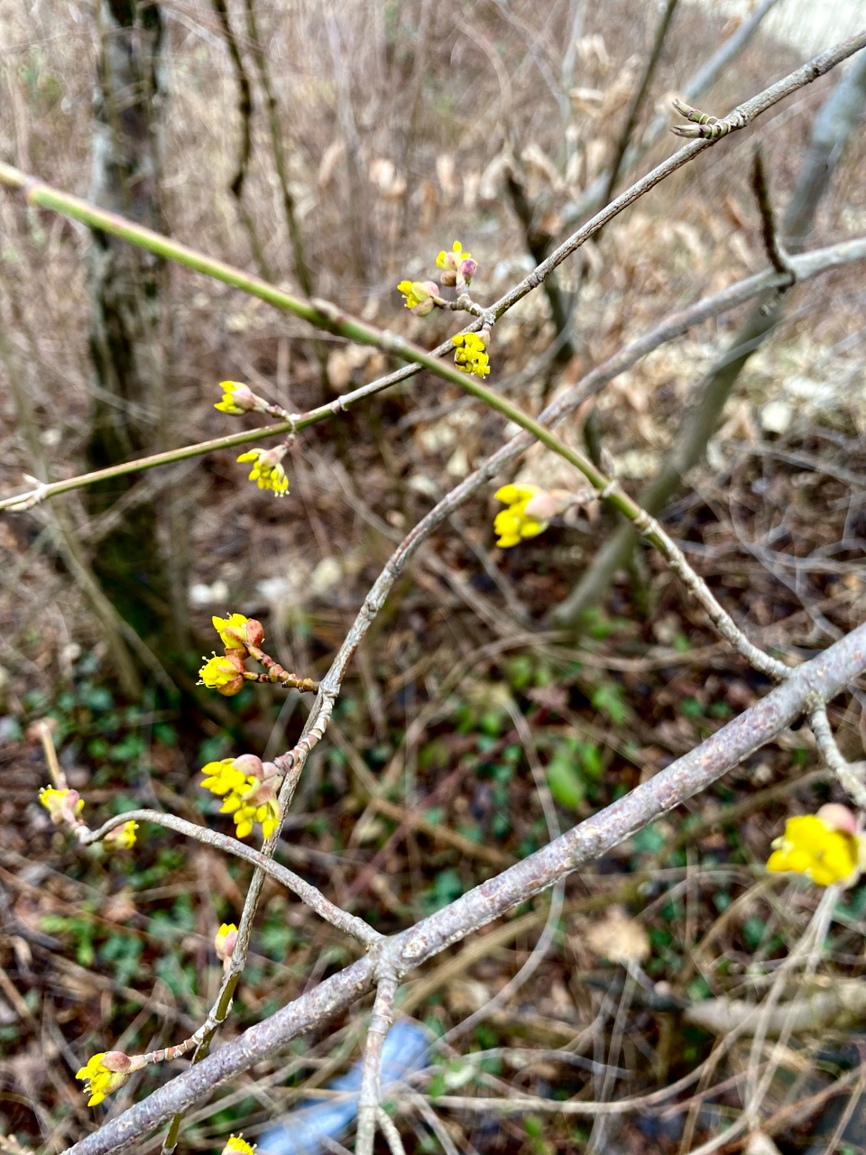 nina_melekhova в LOOKY — фото 5
