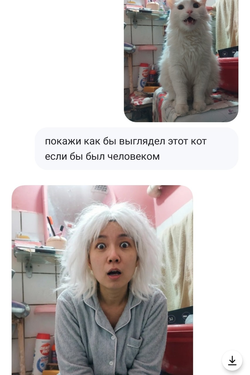 Ну оно понятно почему азиат, нейронка китайская [#дегенеративныйии ](дегенеративныйии)#нейронка #кошки #котики #рек #питомцы