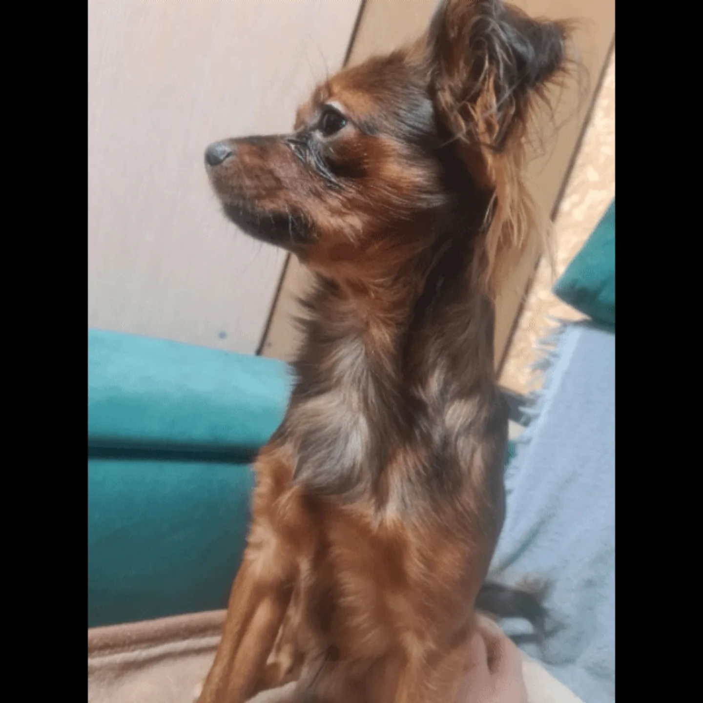 vika_vika_882503 в LOOKY. . Спасибо за то, что т...