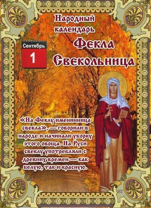 Народный календарь
По народному календарю 1 сентября — день Фёклы Свекольницы (или Андрей Тепляк). В этот день на Руси чествовали святую Феклу и начинали активный сбор урожая.

❣️Главное в этот день:

· Что делать: Убирать свеклу и морковь, готовить из них борщ и ботвинью, мириться и наводить порядок в доме.
· Чего нельзя: Ссориться, лениться до обеда, жаловаться на жизнь, чинить обувь перед дорогой и смотреть на огонь.

☀️Погодные приметы:

· Какая погода 1 сентября — такой будет и вся осень.
· Южный ветер — к теплу и урожаю овса, восточный — к снежной зиме.
· Утренний туман — к снежной зиме и обилию грибов.

📍Интересный факт: до реформы Петра I именно в этот день на Руси встречали Новый год.